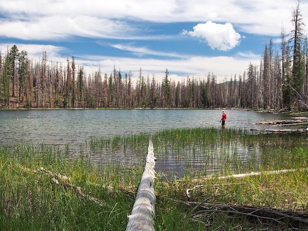 backpacking lassen lake - Lassen Swimming In The Lake